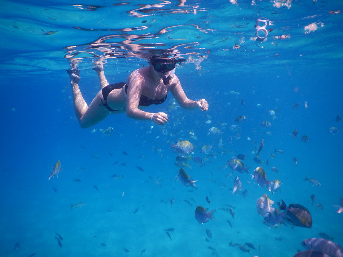 Cabos Best Snorkeling Tours - Things to do in Cabo San Lucas